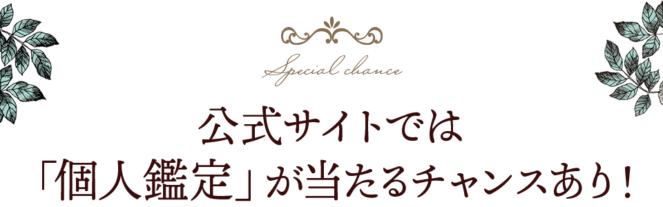 公式サイトでは「個人鑑定」が当たるチャンスあり！